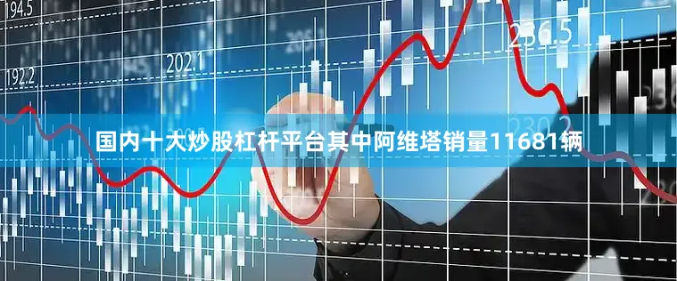 国内十大炒股杠杆平台其中阿维塔销量11681辆