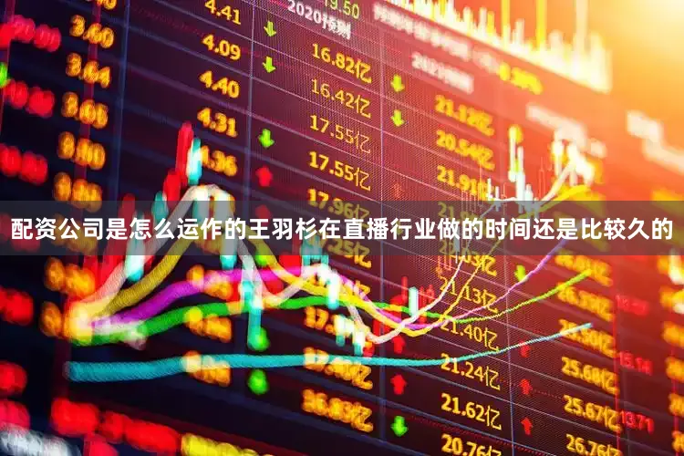 配资公司是怎么运作的王羽杉在直播行业做的时间还是比较久的