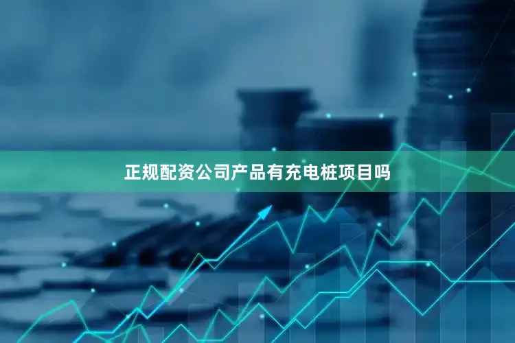 正规配资公司产品有充电桩项目吗